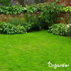 IJzersulfaat Meststof – Mos Verwijderaar – 5kg -Voor 250m2 (organifer) -Bloem Garden Verkoop 1200x1200 810