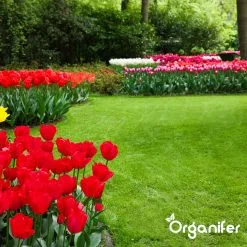 IJzersulfaat Meststof – Mos Verwijderaar – 5kg -Voor 250m2 (organifer) -Bloem Garden Verkoop 1200x1200 816