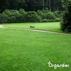 IJzersulfaat Meststof – Mos Verwijderaar – 5kg -Voor 250m2 (organifer) -Bloem Garden Verkoop 1200x1200 817