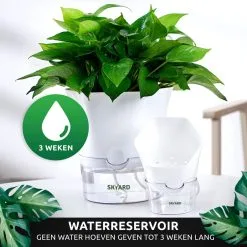 SKYARD® 3 Stuks Zelfwaterende Bloempot Maat M – Milieuvriendelijk Watergeefsysteem Kamerplanten – Zelfwatergevende Pot – Bloempot Met Waterreservoir – Selfwatering Pot – Wit 19 SKYARD® 3 Stuks Zelfwaterende Bloempot Maat M – Milieuvriendelijk Watergeefsysteem Kamerplanten – Zelfwatergevende Pot – Bloempot Met Waterreservoir – Selfwatering Pot – Wit -Bloem Garden Verkoop 1200x1200 87