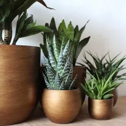 Capi Europe - Vaas Bol Retro - 30x25 - Goud - Bloempot Voor Binnen - BRTG104 -Bloem Garden Verkoop 1200x1200 88