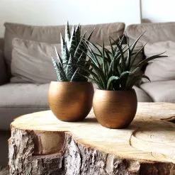 Capi Europe - Vaas Bol Retro - 30x25 - Goud - Bloempot Voor Binnen - BRTG104 -Bloem Garden Verkoop 1200x1200 89