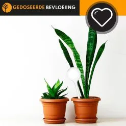 Groots Waterdruppelaar Set Van 6 Stuks Voor Planten Transparant – 27 CM – Automatisch Watergeefsysteem Voor Kamerplanten – Planten Watergever Met Druppelsysteem – Waterbol -Bloem Garden Verkoop 1200x1200 894