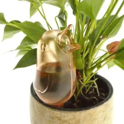 JS Drippy - Waterdruppelaars Set Van 2 Stuks - Druppelaar Vogel - Druppelsysteem Planten - Watergeefsysteem Kamerplanten - Waterbol - Roze -Bloem Garden Verkoop 1200x1200 896