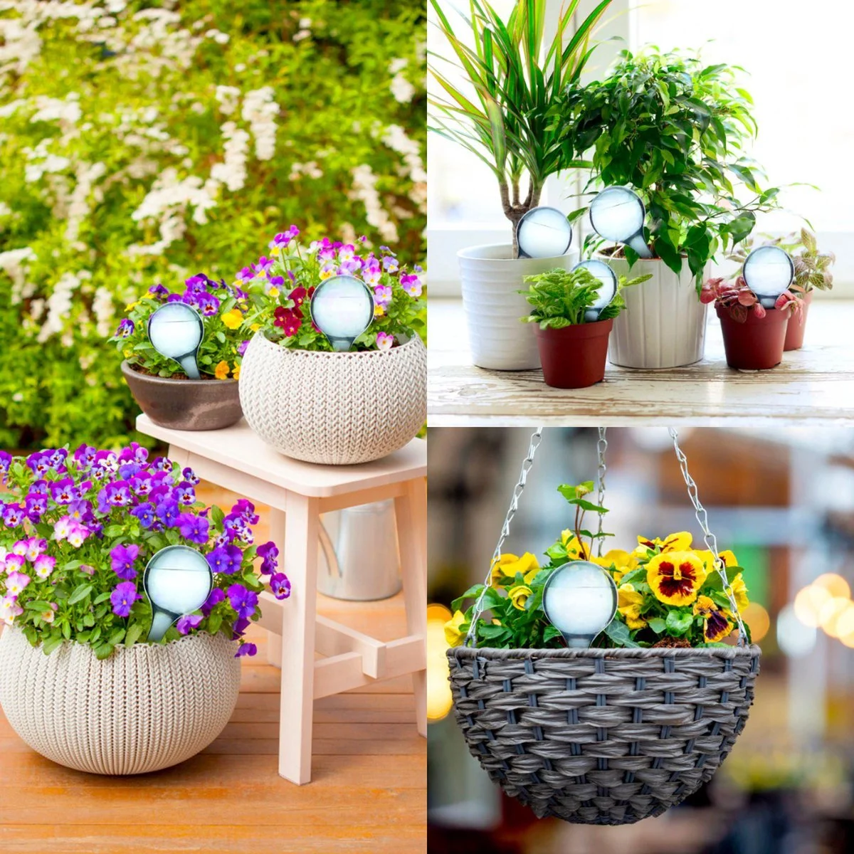 Minismus Druppelsysteem 12 Stuks Waterdruppelaar Voor Planten - Waterafgiftesysteem Voor 2 Weken - Beregening Voor Kamerplanten 6 Minismus Druppelsysteem 12 Stuks Waterdruppelaar Voor Planten - Waterafgiftesysteem Voor 2 Weken - Beregening Voor Kamerplanten - Afbeelding 6