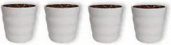 WLplants WL Plants - Bloempot Binnen - Set Van 4 - Dawn Ø12 Wit - Luxe Bloempotten Voor Binnen - Bloempotten Voor Buiten - Bloembak & Plantenpot - Hoogte 12,5 Cm - Keramisch Met Hoogwaardige Afwerking