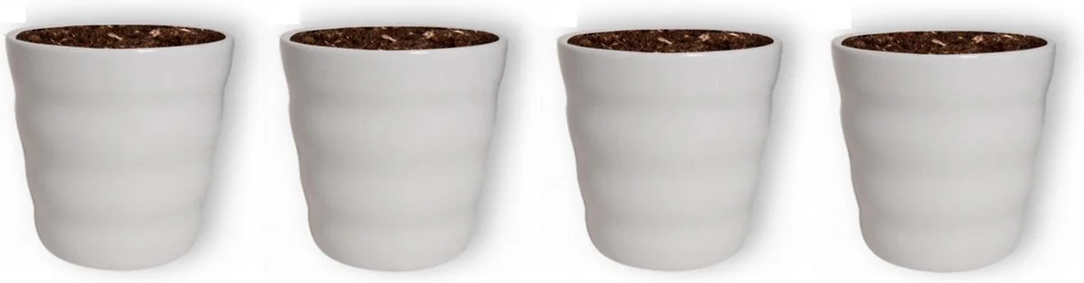 WLplants WL Plants - Bloempot Binnen - Set Van 4 - Dawn Ø12 Wit - Luxe Bloempotten Voor Binnen - Bloempotten Voor Buiten - Bloembak & Plantenpot - Hoogte 12,5 Cm - Keramisch Met Hoogwaardige Afwerking 1 WLplants WL Plants - Bloempot Binnen - Set Van 4 - Dawn Ø12 Wit - Luxe Bloempotten Voor Binnen - Bloempotten Voor Buiten - Bloembak & Plantenpot - Hoogte 12,5 Cm - Keramisch Met Hoogwaardige Afwerking