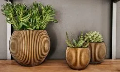Capi Europe - Set Van 3 - Bloempot Binnen - Groove - - Goud - Bloempot Voor Binnen - BOX-BGVGB-3 -Bloem Garden Verkoop 1200x723