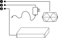 Floatey Design Plant | Zwevende Plant - Bloempot (levitation) 6 Floatey Design Plant | Zwevende Plant - Bloempot (levitation) -Bloem Garden Verkoop 1200x777