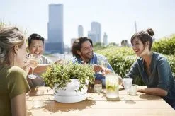 Elho Greenville Schaal 33 - Bloempot Voor Buiten - Ø 32.5 X H 19.4 Cm - Groen/Blad Groen -Bloem Garden Verkoop 1200x799 1