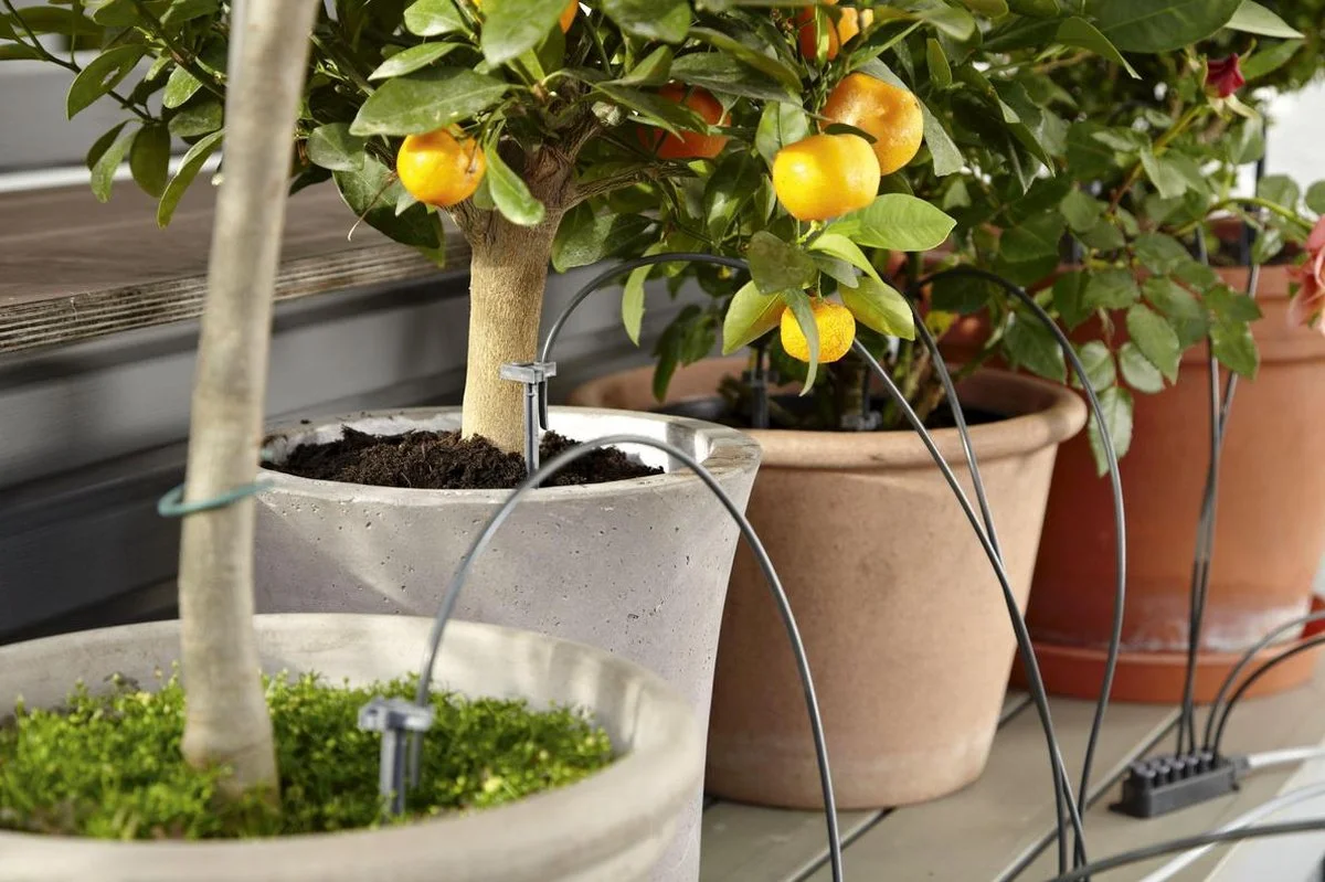 GARDENA Vakantiebewateringsset Duppelsysteem - Geschikt Voor 36 Potplanten - Incl. 9l Vat 2 GARDENA Vakantiebewateringsset Duppelsysteem - Geschikt Voor 36 Potplanten - Incl. 9l Vat - Afbeelding 2