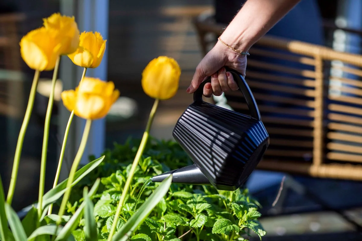 Xala - Gieter Doppio Groove 2L Zwart 3 Xala - Gieter Doppio Groove 2L Zwart - Afbeelding 3