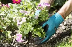 Gardena Plant- En Bodem Handschoen - Maat: M -Bloem Garden Verkoop 1200x799 30