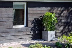 Capi Europe - Bloempot Vierkant Rib NL - 30x30x30 - Zwart - Voor Binnen En Buiten - KBLR902 -Bloem Garden Verkoop 1200x799 4