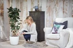 Elho Aqua Care 9 - Accessoires Voor Binnenaccessoires - Ø 17.3 X H 32.0 Cm - Transparant/Transparant -Bloem Garden Verkoop 1200x800 12