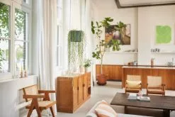 Elho B.for Swing 18 Hangpot - Bloempot Voor Binnen - Ø 18.0 X H 16.5 Cm - Groen/Blad Groen 18 Elho B.for Swing 18 Hangpot - Bloempot Voor Binnen - Ø 18.0 X H 16.5 Cm - Groen/Blad Groen -Bloem Garden Verkoop 1200x800 13