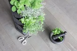 Prosperplast Verticale Kruidentuin Kunststof - Staand/hangend - Modulair - Antraciet Grijs - L 20 X B 11 X H 48 Cm - Incl. Kruidenschaar 17 Prosperplast Verticale Kruidentuin Kunststof - Staand/hangend - Modulair - Antraciet Grijs - L 20 X B 11 X H 48 Cm - Incl. Kruidenschaar -Bloem Garden Verkoop 1200x800 33