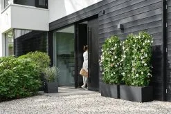 Elho Vivo Next Vierkant 30 - Plantenbak Voor Binnen & Buiten - Ø 29.5 X H 29.5 Cm - Zwart/Living Black -Bloem Garden Verkoop 1200x800 51