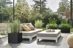 Elho Vivo Next Vierkant 40 - Plantenbak Voor Binnen & Buiten - Ø 39.0 X H 37.9 Cm - Zwart/Living Black -Bloem Garden Verkoop 1200x800 52