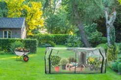 Kinzo Garden Broeikas - Tunnelkas - Met Rits - Staal - 130x60x50cm -Bloem Garden Verkoop 1200x800 59