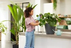 Elho Brussels Gieter 1,8l - Gieter Voor Binnenkweken En Oogsten - Ø 33.0 X H 17.0 Cm - Groen/Mint -Bloem Garden Verkoop 1200x800 82