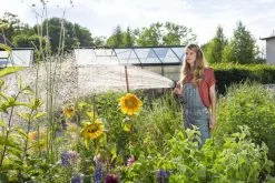 GARDENA - Comfort Broeskop - 5 Straalsoorten - Grijs 27 GARDENA - Comfort Broeskop - 5 Straalsoorten - Grijs -Bloem Garden Verkoop 1200x800 88