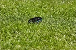 GARDENA Smart Sensor 19040-20 Bodemvochtigheidsensor -Bloem Garden Verkoop 1200x800 98