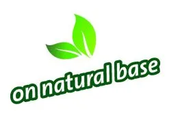 Topbuxus Buxus Health Mix -Bloem Garden Verkoop 1200x803