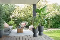 Elho Pure Coupe 35 - Bloempot Voor Binnen & Buiten - Ø 34.9 X H 49.0 Cm - Zwart/Zwart -Bloem Garden Verkoop 1200x805 1