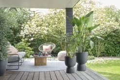 Elho Pure Coupe 41 - Bloempot Voor Binnen & Buiten - Ø 41.3 X H 57.9 Cm - Zwart/Zwart -Bloem Garden Verkoop 1200x805 2