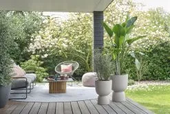 Elho Pure Coupe 35 - Bloempot Voor Binnen & Buiten - Ø 34.9 X H 49.0 Cm - Beige/Balanced Beige -Bloem Garden Verkoop 1200x808 1