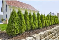 GARDENA Micro Drip System Startset L Druppelsysteem - 50 Meter -Bloem Garden Verkoop 1200x814 1