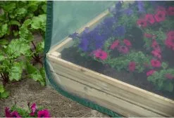 Nature - Tuinbroeikas Pop-up - 100 X 100 X 100cm - Vierkante Meter Tuin 16 Nature - Tuinbroeikas Pop-up - 100 X 100 X 100cm - Vierkante Meter Tuin -Bloem Garden Verkoop 1200x816 1