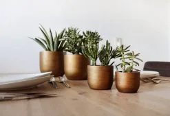 Capi Europe - Set Van 4 - Bloempot Binnen - Retro - - Goud - Bloempot Voor Binnen - BOX-BRTG-4 -Bloem Garden Verkoop 1200x820 1