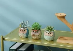 PlantCerra Luxe Bamboe Houten Boom Met 3 Keramiek Uil Bloempotten/Plantenpotten Op Standaard/Voet Voor Binnen En Buiten - Modern Design Bloempot/Plantenpot Op Poten/Pootjes-Plantenbak Mini Cactus Nep Plant Pot Houder - Kleine Bloembakken Plantenrek/Plantenkurk -Bloem Garden Verkoop 1200x840