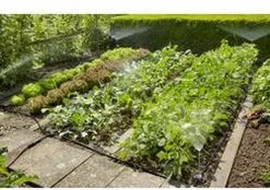 GARDENA Micro Drip System Bloembed En Moestuin Startset Druppelsysteem - 25 Meter -Bloem Garden Verkoop 1200x844 3