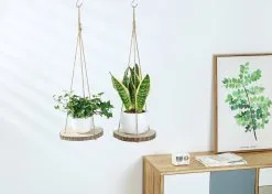 Mycramé Set Van 2 Boomstam Rond Wandrek Plantenhangers - Boho Jute Houten Plantenrek - Hangpot Voor Binnen/Buiten - Hangende Bloempot Plank - Hangplant Houder - Bohemian Macrame Stijl Wandhanger - Hangplank Plant Hanger - Planthanger - Ø Rond 25-20cm 15 Mycramé Set Van 2 Boomstam Rond Wandrek Plantenhangers - Boho Jute Houten Plantenrek - Hangpot Voor Binnen/Buiten - Hangende Bloempot Plank - Hangplant Houder - Bohemian Macrame Stijl Wandhanger - Hangplank Plant Hanger - Planthanger - Ø Rond 25-20cm -Bloem Garden Verkoop 1200x856 1
