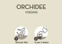 Pokon Orchidee Voeding - 250ml - Plantenvoeding - 10ml Per 1L Water -Bloem Garden Verkoop 1200x856 2