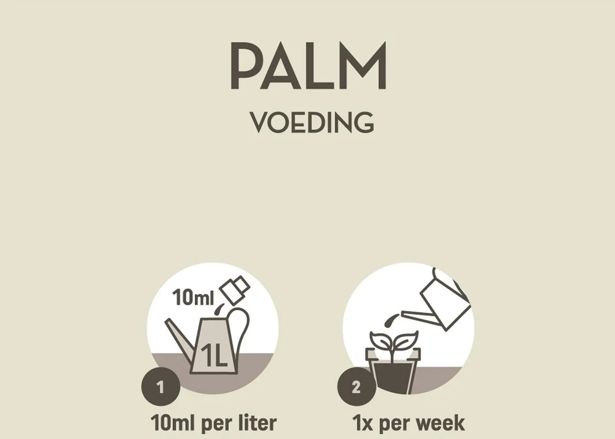 Pokon Palm Voeding - 250ml - Plantenvoeding - 10ml Per 1L Water 3 Pokon Palm Voeding - 250ml - Plantenvoeding - 10ml Per 1L Water - Afbeelding 3