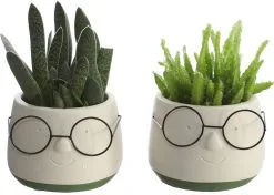 Comforder 2x Bloempot Met Gezicht - Ø8 X H6,5 Cm - Bloempotten Voor Binnen Met Bril/Face/Hoofd