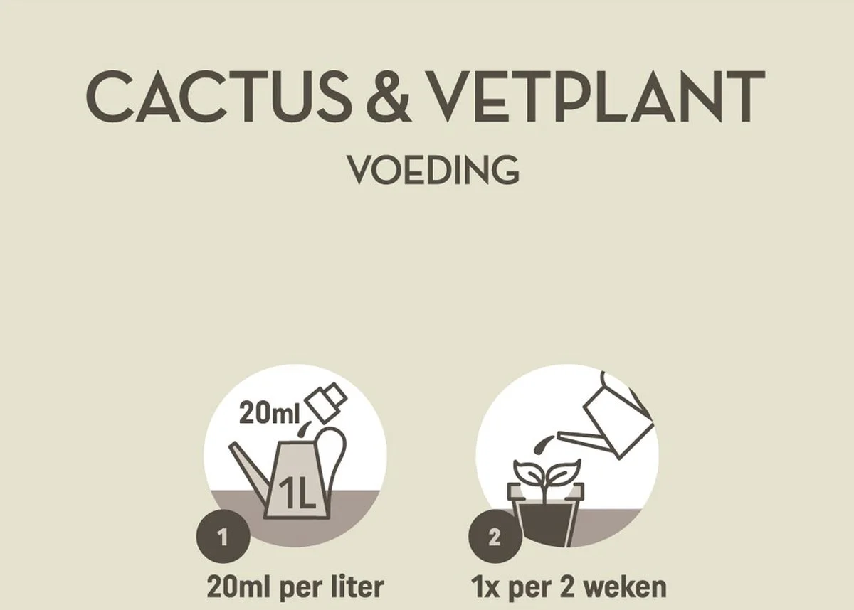 Pokon Cactus & Vetplant Voeding - 250ml - Plantenvoeding - 20ml Per 1L Water 3 Pokon Cactus & Vetplant Voeding - 250ml - Plantenvoeding - 20ml Per 1L Water - Afbeelding 3