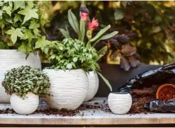 Capi Europe - Set Van 3 - Bloempot Binnen - Rib Ivoor -Bloem Garden Verkoop 1200x878