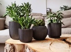 Capi Europe - Set Van 4 - Bloempot Binnen - Groove - Antraciet 7 Capi Europe - Set Van 4 - Bloempot Binnen - Groove - Antraciet -Bloem Garden Verkoop 1200x881