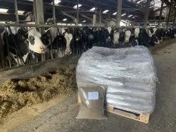 Heihoeve Gedroogde Koemest 60 Liter (Organisch - Universele Tuinmest) Rechtstreeks Van De Boerderij -Bloem Garden Verkoop 1200x899 6