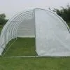 Merkloos Tunnelkas Met Structuur Van Gegalvaniseerd Staal En Deur 18 M² - L600 X B300 X H200 Cm - ALOCASIA L 300 Cm X H 200 Cm X D 600 Cm