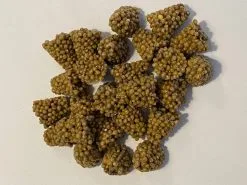 Ferrarium Planten Voedingstabletten (35 Stuks) - Plantenvoeding - Kamerplanten Voeding - Ecosysteem Voeding - Balkon Planten Voeding - Easytabs - Kamerplanten Voedingskegels