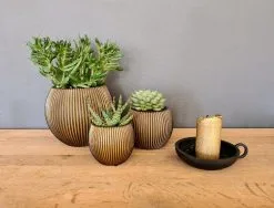 Capi Europe - Set Van 3 - Bloempot Binnen - Groove - - Goud - Bloempot Voor Binnen - BOX-BGVGB-3 -Bloem Garden Verkoop 1200x912