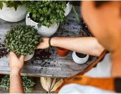 Capi Europe - Set Van 3 - Bloempot Binnen - Rib Ivoor -Bloem Garden Verkoop 1200x930