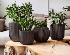 Capi Europe - Set Van 4 - Bloempot Binnen - Groove - Antraciet 9 Capi Europe - Set Van 4 - Bloempot Binnen - Groove - Antraciet -Bloem Garden Verkoop 1200x953