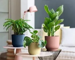 Elho Vibes Fold Rond Wielen 35 - Bloempot Voor Binnen - Ø 34.9 X H 32.4 Cm - Diepblauw -Bloem Garden Verkoop 1200x956